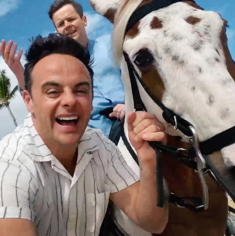 Ant and Dec on a horse 